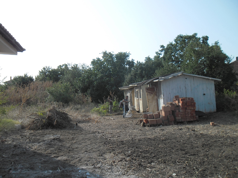 Rear of House showing sheds