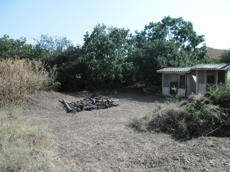 Rear garden and sheds